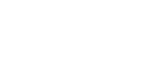 ecomi